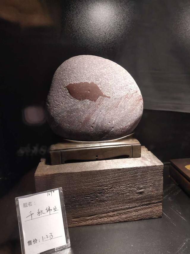 原创成都石展盛大开幕三大亮点强势复工