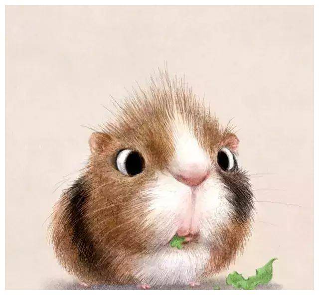 动物头像猜成语_看图猜成语(3)