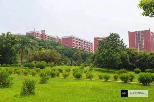 人数|2020专插本竞争最激烈大学，最高淘汰4239人难难