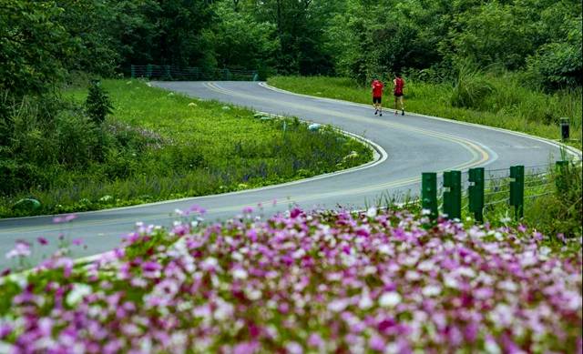 2020成都温江北林绿道休闲旅游节暨五月花海乐活节在寿安举办