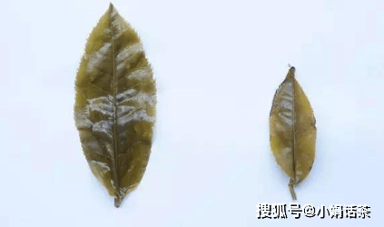 5e3073f553d646a1b1ef6573626e0035.png