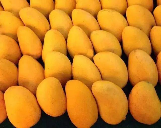 小台农则是我们常在超市里看到的小芒果,个头小巧,金黄灿灿,十分可爱.