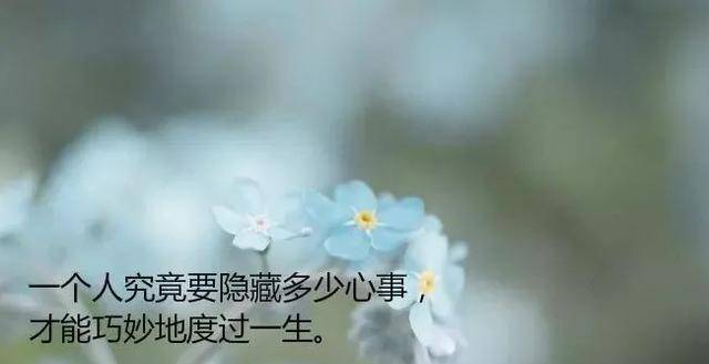 183f2529f93d4c43badc3bd12656ae1d.jpeg