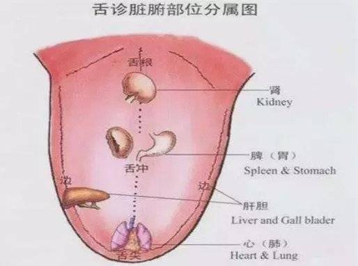 孩子|今天就教你如何给宝宝清内热！捏积派——小儿内热为百病之源