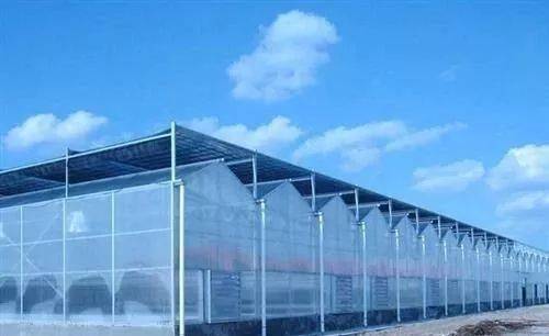 纹络式玻璃温室大棚建设要素_智能