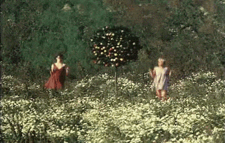 24节气·芒种丨忙着种下希望