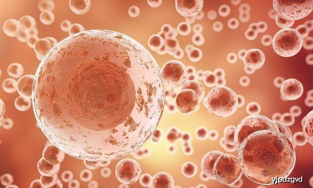 怎么确认卵子已经排 06f90b8c57604e7189c044b3a0928f32.jpeg