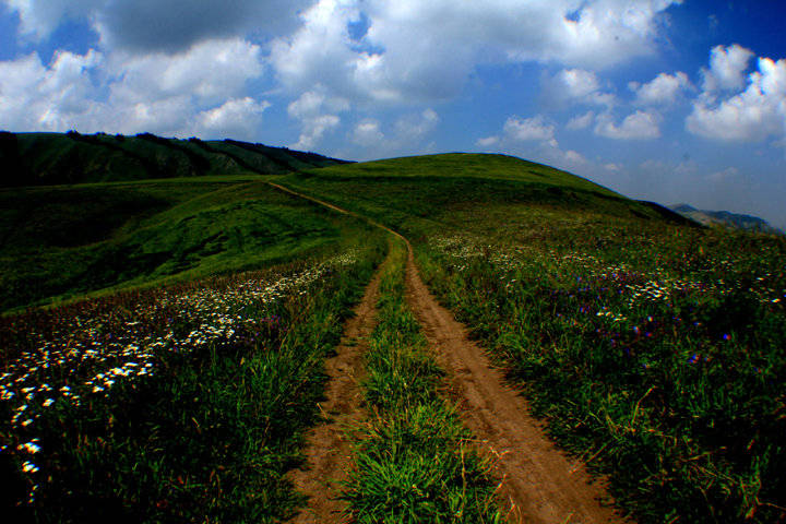 奇台县gdp_新疆奇台县历史图片(2)