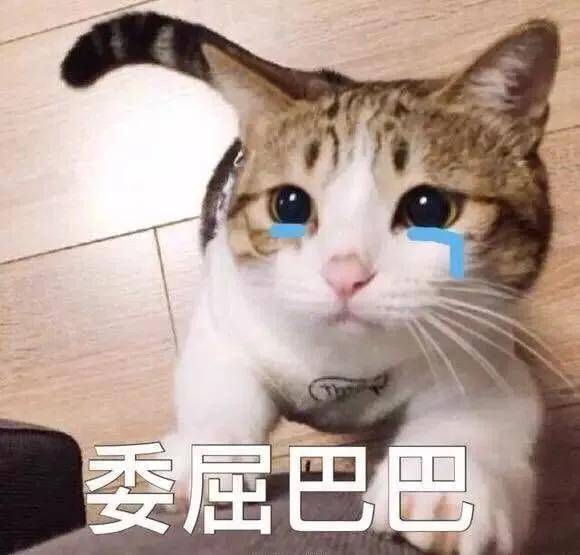93989ee1e49949fa92b18e1df9dfc1cc.jpeg