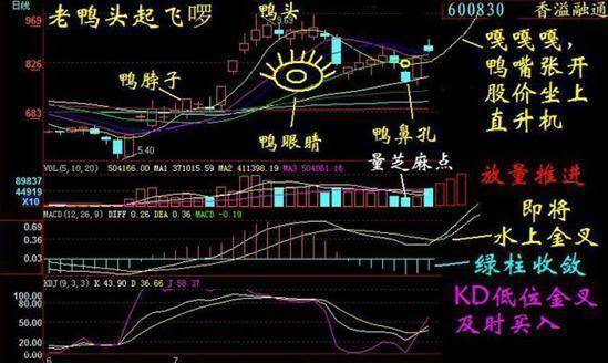 老鸭头战法