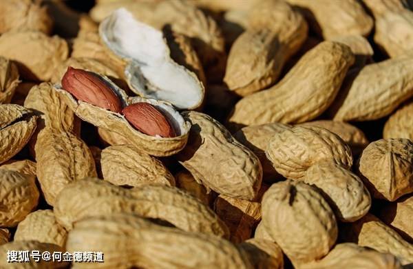 花生要多少时间才可以收 88f64a09c3444ab18fb3ffea8cd8d6ee.jpeg