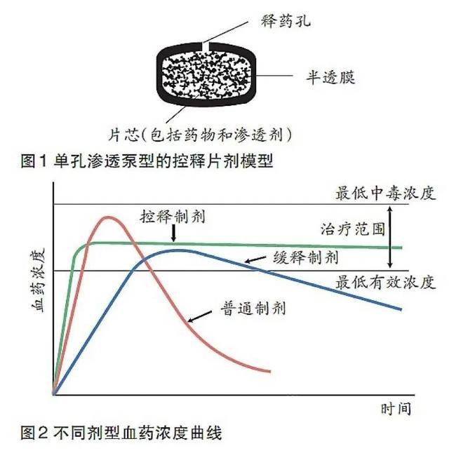 药物半衰期在合理用药中的应用