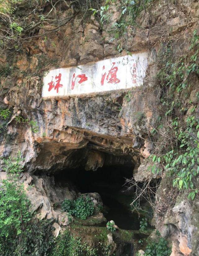 岳阳2020gdp_2020岳阳马拉松照片(3)