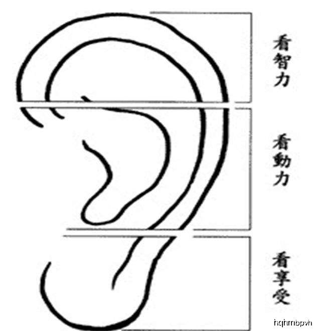 最有福气的耳朵有几种 a93ffeba65424772af1cfb674cc23f5e.jpeg
