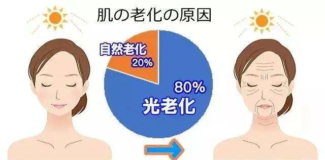 b6d798a347e342d99e6529842765885b.jpeg