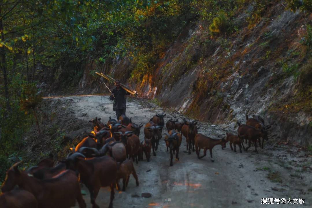 保山人口在增加吗_保山在云南地图