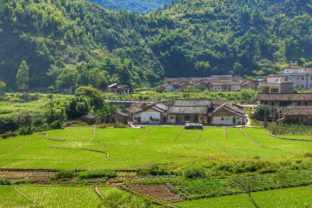 堪称世外桃源的北溪村,一颗镶在广东梅州丰顺绿水青山中娇翠欲滴的