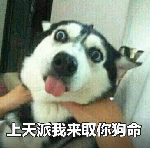 beefb9ac02924cc2ad957570dd29dcf0.jpeg