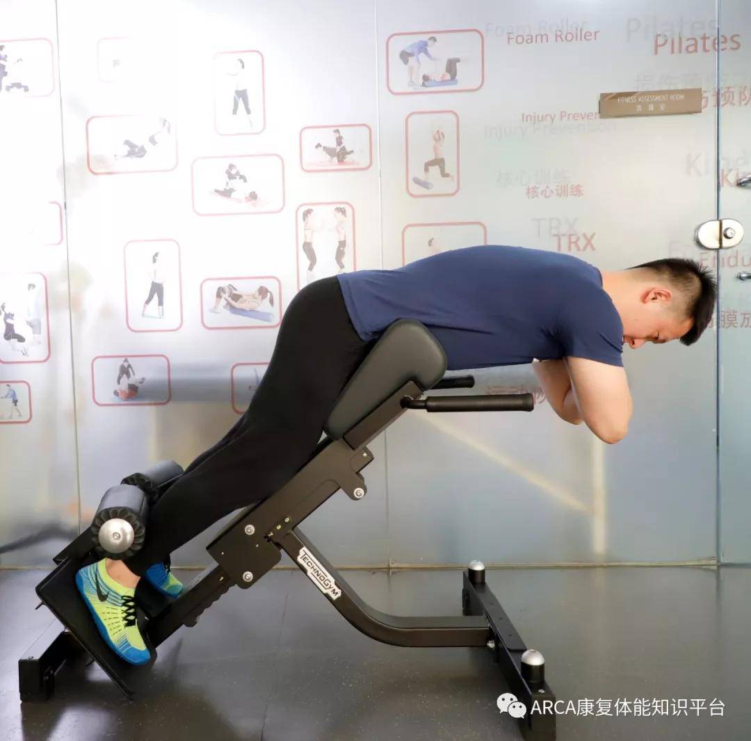 健身知识 | 罗马凳背伸是安全高效的训练动作吗?