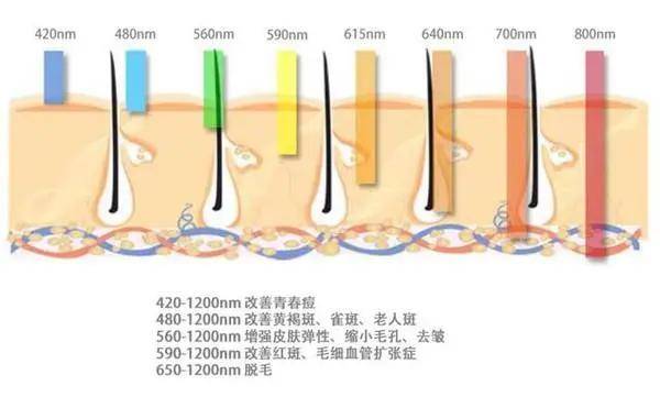 6a4f70952ae644a8b7cccc4d2c92a32c.jpeg