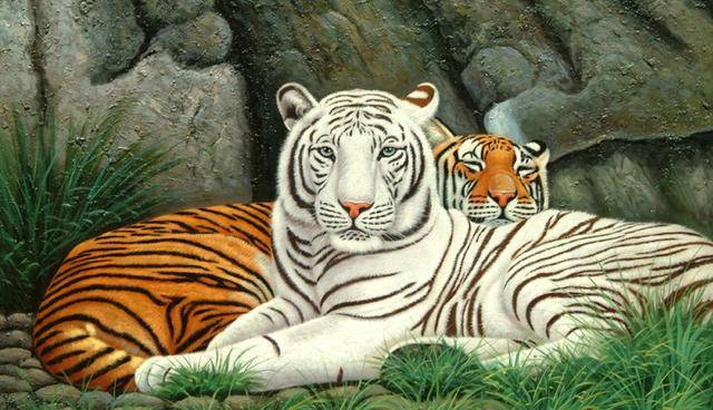 梦境之谜，解析梦见亲手埋葬老虎的深层含义