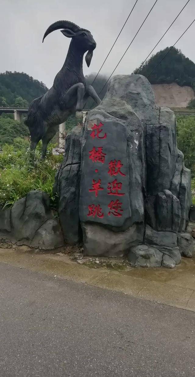 贵州县城人口排名2020_贵州大方县城图片(2)
