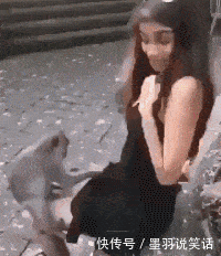 搞笑gif:猴子干了我想干的事,一会告诉我?