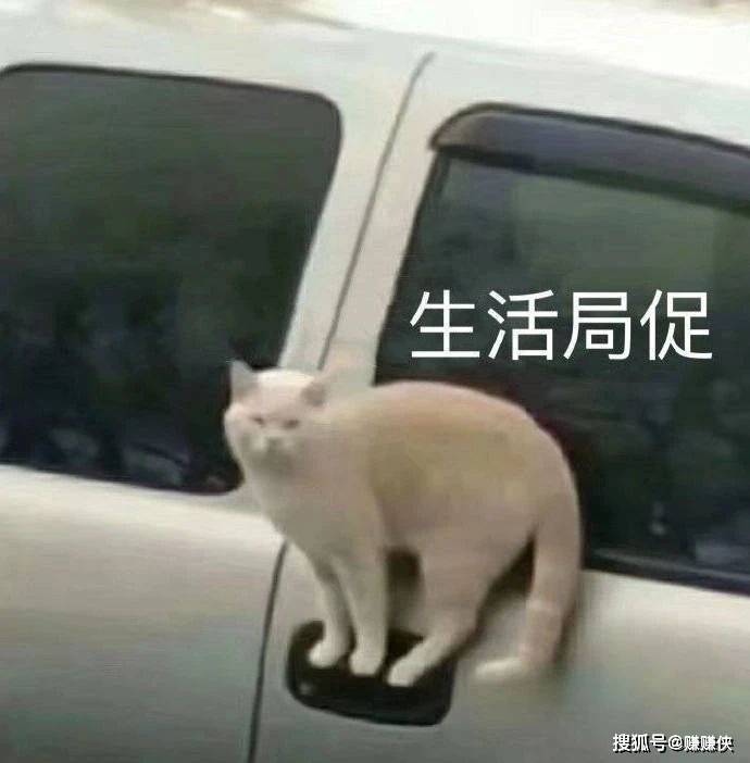 14b470e0d56a4479b476fd41606cb068.jpeg
