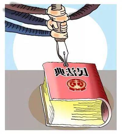 中华人民共和国民法典 合同编)