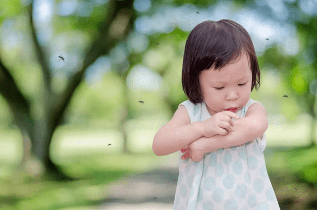蚊子|打响宝宝防蚊保卫战蚊子喜欢O型血宝宝？宝妈做好准备