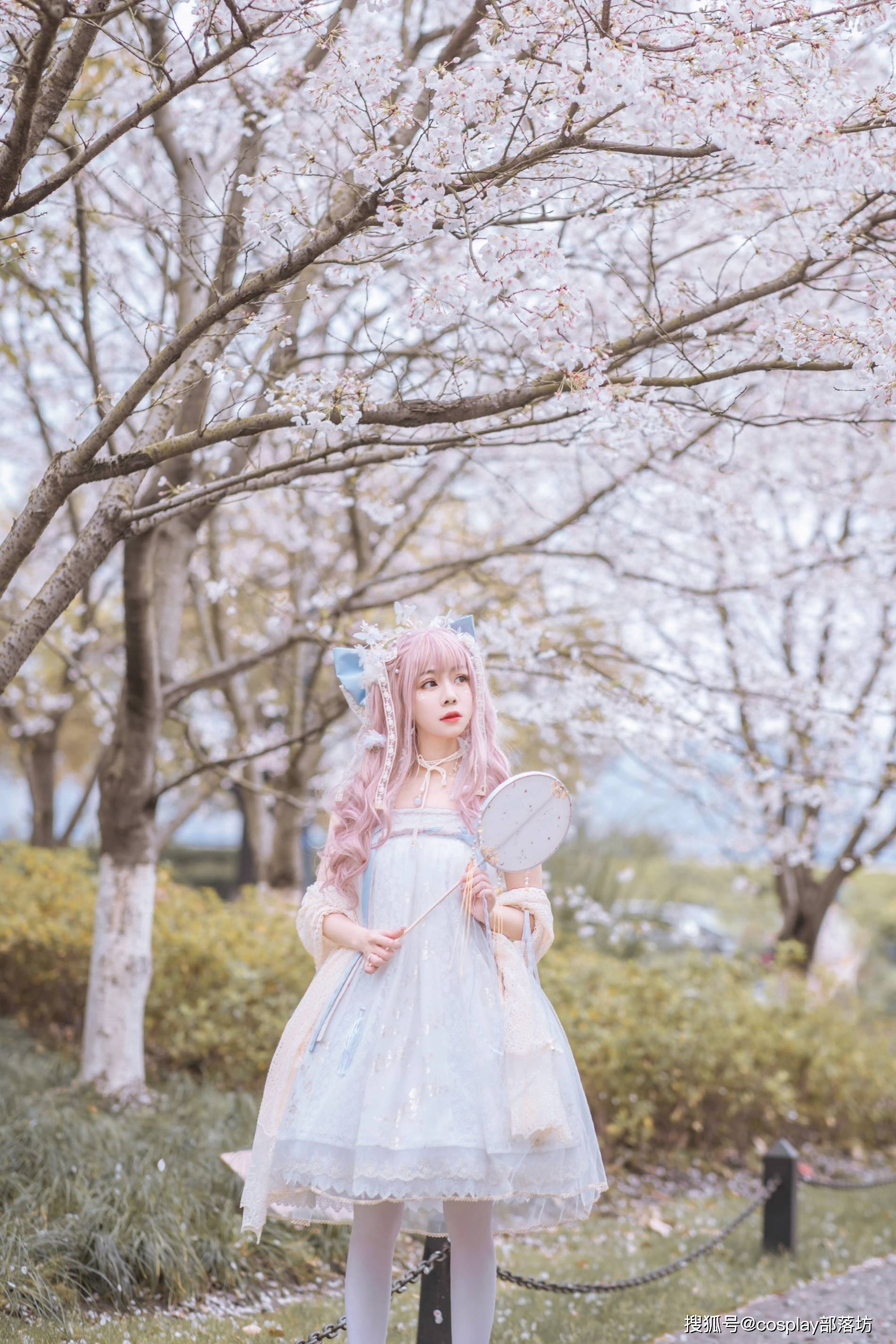 lolita樱花雨中的洛丽塔少女