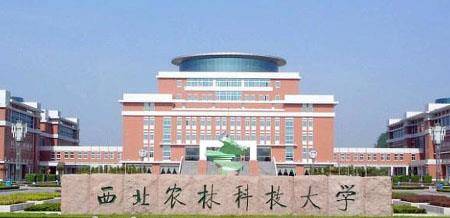 39所985大学王牌专业有哪些？学姐：听我诉说，王牌不一定就业好