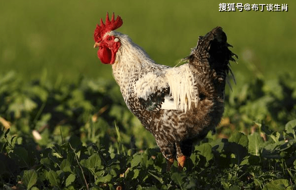 d73dbce8c5c742a18c0040d3e5edb479.png