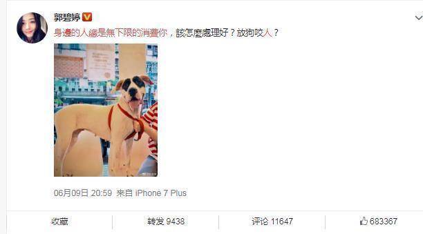 原创怀孕才能领证？郭碧婷6个月大肚子被拍，坐月子都要被婆婆干涉