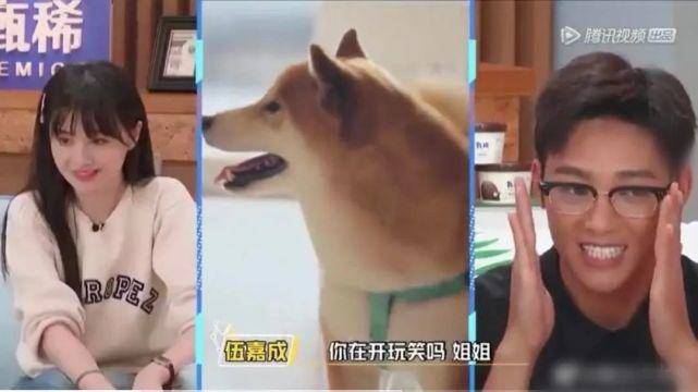 郑爽被团队发律师函，又撕起来了？网友：戏真