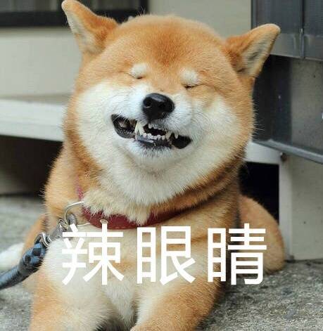 871f6414959d4937a7219f3783e0db8a.jpeg