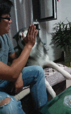 原创搞笑gif:有懂唇语的吗,看看妹子在说啥?