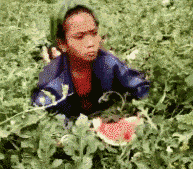 [我国]不如现在好吃却让人迷恋，这是为何？，西瓜那些年少有人知的历史