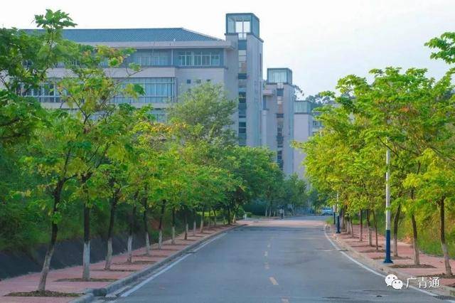 录取分数|录取分数暴涨！喜讯！这3所大学迎来大发展