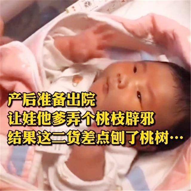 宝宝|宝妈：折桃枝避邪，差点把整棵树搬来“耿直爸爸”接娃出院走红