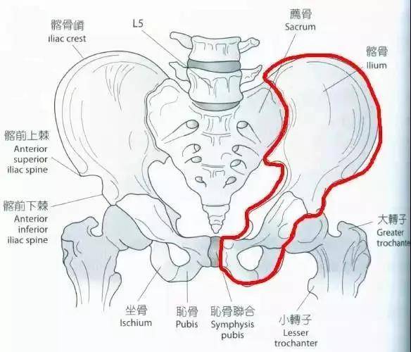 除了可以对着镜子观察自己胯的位置是否正确,还有一个小妙招可以帮助