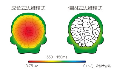 dba37f88108247e6b46d0202a71946ea.png
