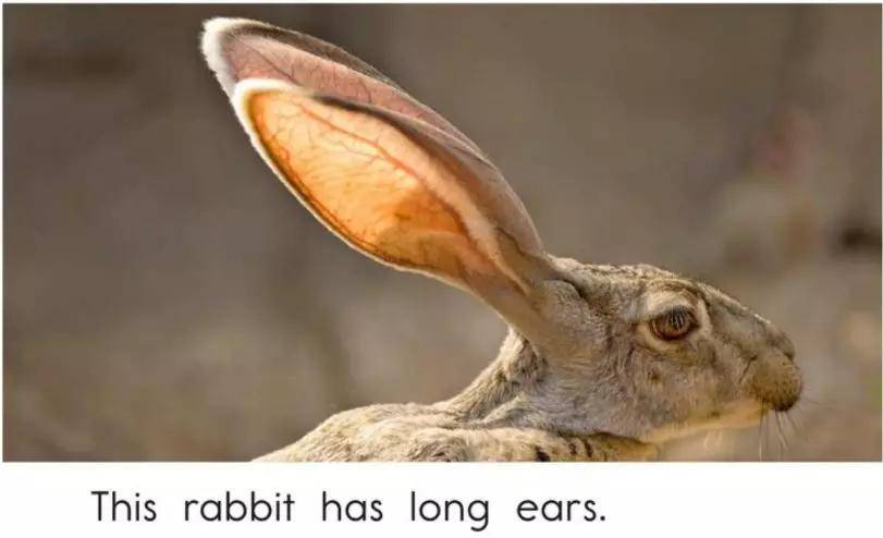 ddd2997c6bbf4fa6b803d86117011c03.jpeg