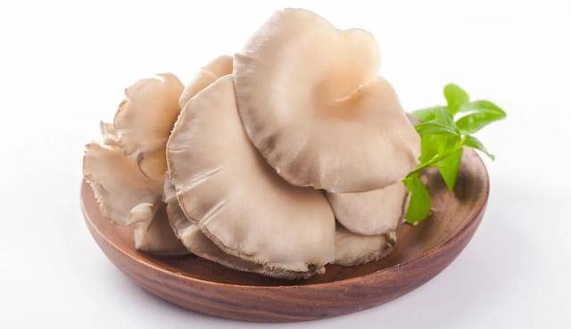 啥时候种姜最好 e83c0bbb8c774c9daec83b00f8749b22.jpeg