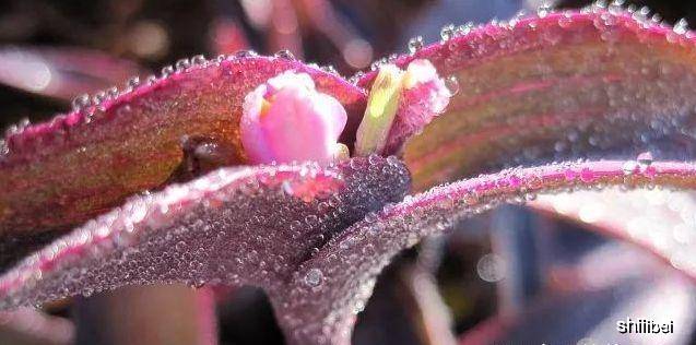 eab2726c058548cda5531557b892df18.jpeg