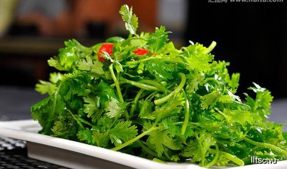 啥菜对眼睛有好处 53df8f272e36489085b38d9fca4dd601.jpeg