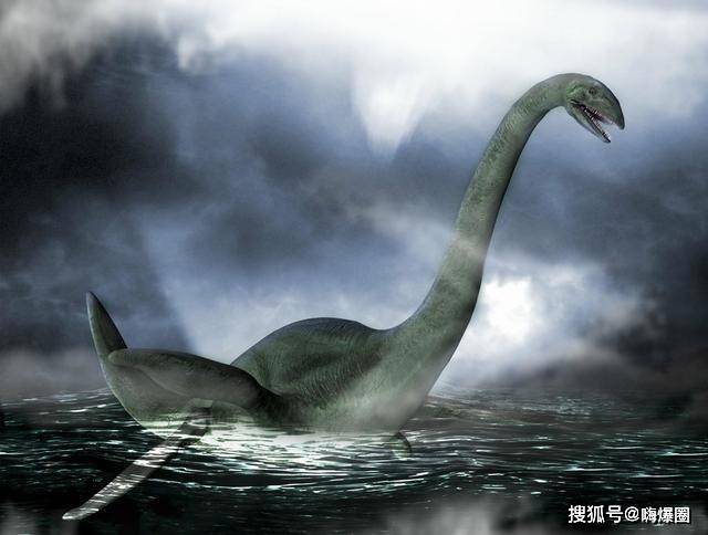 梦境解析，当蛇潜入裤管——探索潜意识中的隐秘信息