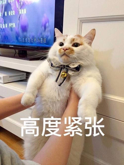 c448a4a8f6eb44dd9baebf46a107bee6.jpeg