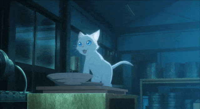 男孩喜欢撸猫,女孩竟为了他变成了一只猫,这一刻我哭得溃不成军