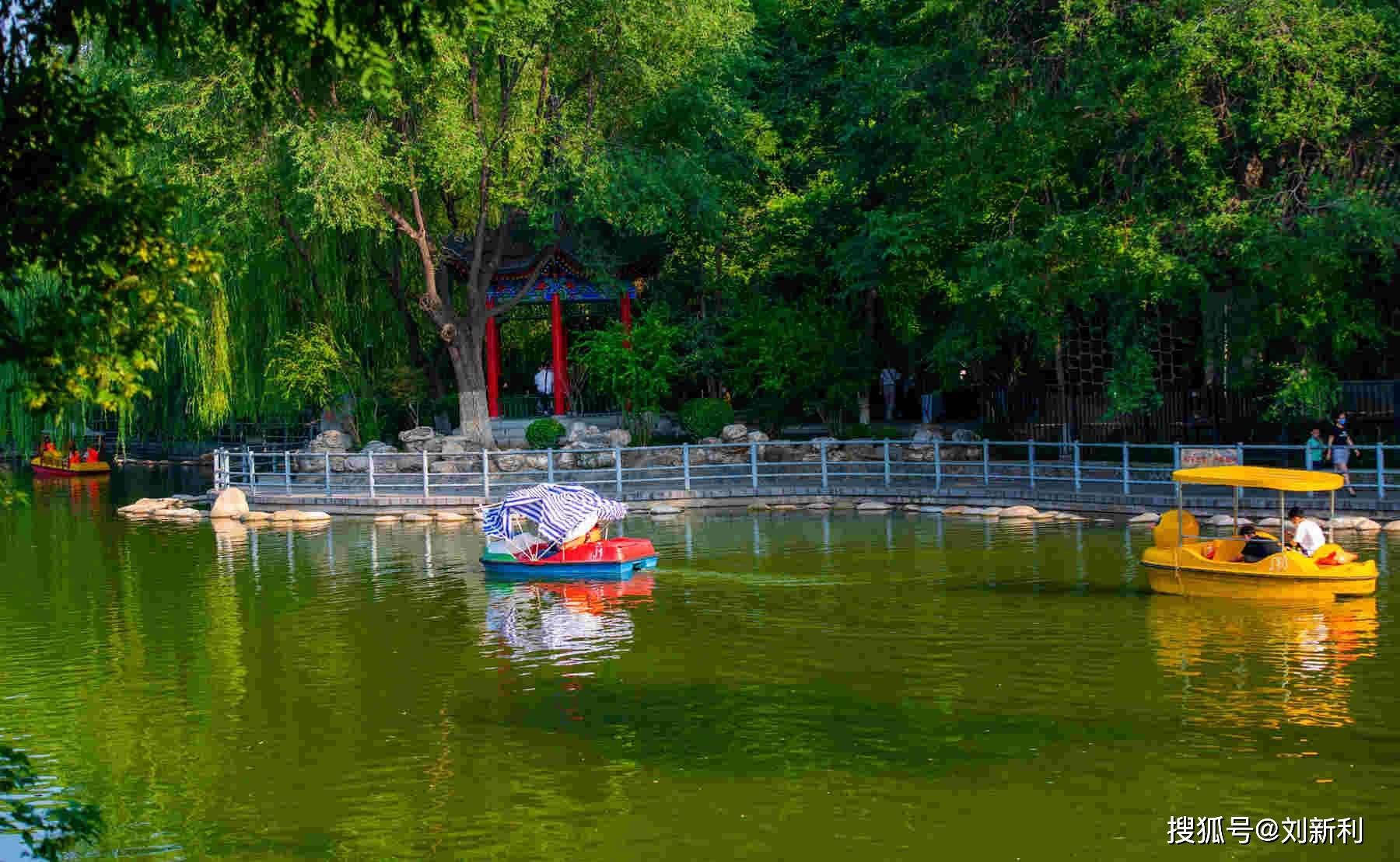 夏至游西安莲湖公园